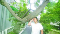 五口之家外种一树打一字,破解汉字谜题的智慧之旅”